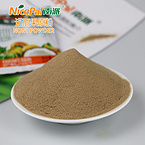 Noni Fruit Powder