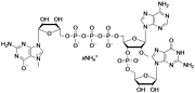 m7G(5')ppp(5')(2'-OMeA)pG·NH4