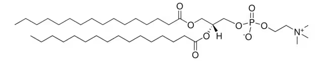 1,2-dipalmitoyl-snglycero-3-phosphocholine