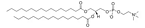 1,2-dipalmitoyl-snglycero-3-phosphocholine