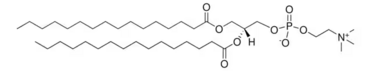 1,2-dipalmitoyl-snglycero-3-phosphocholine