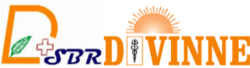 DIVINNE SBR INTERNATIONAL PVT LTD