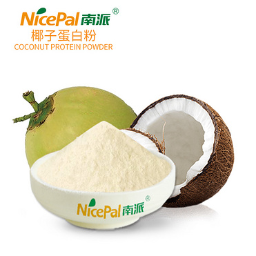 Coconut Protein Powder
