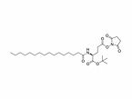 Nε-PalMitoyl-L-glutaMic Acid γ-SucciniMidyl-α-tert-butyl Ester
