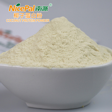 Coconut Protein Powder