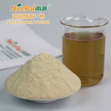 Noni Enzyme Powder