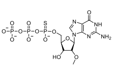 α-Thio-((2R,3R,4R,5R)-5-(2-amino-6-oxo-1,6-dihydro-9Hpurin-9-yl)-3-hydroxy-4-methoxytetrahydrofuran
