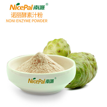 Noni Enzyme Powder