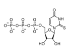 ((2R,3S,4R,5R)-3,4-dihydroxy-54-oxo-2-thioxo-3,4-dihydropyrimidin-1(2H)-yl)tetrahydrofuran-2-yl)meth