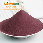 Black Currant Berry Powder (cassis)