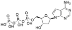 7-DeazaDeoxyadenosine-5'-Triphosphate