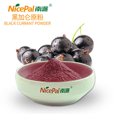 Black Currant Berry Powder (cassis)
