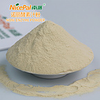 Noni Enzyme Powder
