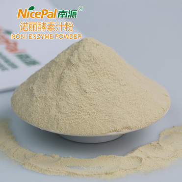 Noni Enzyme Powder