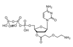 (2R,3S,5R)-5-(4-amino-2-oxopyrimidin-1(2H)-yl)-2-(((hydroxy((hydroxy(phosphonooxy)phosphoryl)oxy)pho