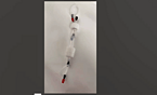 PZ Protein chromatography column