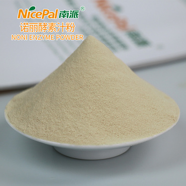 Noni Enzyme Powder