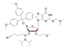 5'-O-DMT-2'-O-MOE-G(dmf)-CE Phosphoramidite