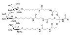 PAM-Acid derivatives