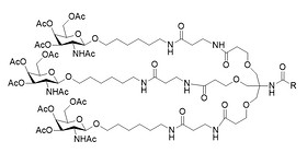 PAM-Acid derivatives