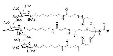PAM-Acid derivatives