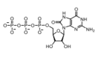 ((2R,3S,4R,5R)-5-(2-amino-6,8-dioxo-1,6,7,8-tetrahydro-9Hpurin-9-yl)-3,4-dihydroxytetrahydrofuran-2