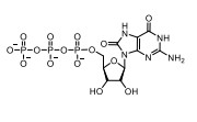 ((2R,3S,4R,5R)-5-(2-amino-6,8-dioxo-1,6,7,8-tetrahydro-9Hpurin-9-yl)-3,4-dihydroxytetrahydrofuran-2