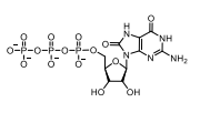 ((2R,3S,4R,5R)-5-(2-amino-6,8-dioxo-1,6,7,8-tetrahydro-9Hpurin-9-yl)-3,4-dihydroxytetrahydrofuran-2