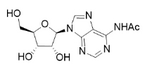 N6-Ac-adenosine