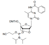 2'-O-4'-C-Locked-5-Me-C(Bz) Phosphoramidite