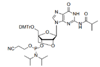 2-iBu-2'-O-4'-C Locked-G-CE Phosphoramidite