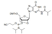 2-iBu-2'-O-4'-C Locked-G-CE Phosphoramidite