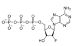 ((2R,3R,4R,5R)-5-(6-amino-9Hpurin-9-yl)-4-fluoro-3-hydroxytetrahydrofuran-2-yl)methyl triphosphate