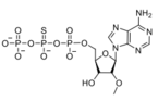 β-Thio-((2R,3R,4R,5R)-5-(6-amino-9Hpurin-9-yl)-3-hydroxy-4-methoxytetrahydrofuran-2-yl)methyl triph