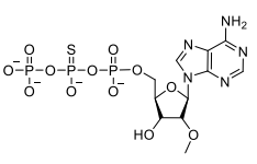 β-Thio-((2R,3R,4R,5R)-5-(6-amino-9Hpurin-9-yl)-3-hydroxy-4-methoxytetrahydrofuran-2-yl)methyl triph