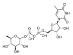 [[(2R,3S,4R,5R)-3,4-dihydroxy-5-(5-methyl-2,4-dioxopyrimidin-1-yl)oxolan-2-yl]methoxyhydroxyphospho