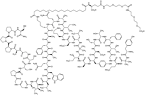 Tirzepatide