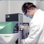 Bioworkshops—Cell Line Development