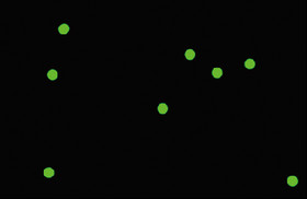 Fluorescent Microspheres
