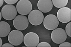 Latex Microspheres