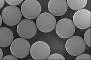 Latex Microspheres