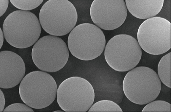 Latex Microspheres