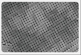 Standard Microspheres