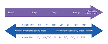 Hydrophobic Interaction Resins