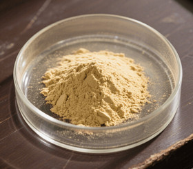 Scutellin? Scutellaria Baicalensis Root Extract Baicalin