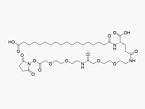 Ste-Glu-AEEA-AEEA-OSU (Fatty Acid Side Chain)