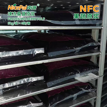 NFC Frozen Mulberry Pulp
