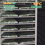 NFC Frozen Mint Pulp