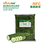 NFC Frozen Cucumber Pulp
