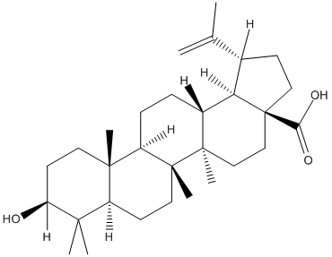Betuak®  Birch bark extract  Betulinic acid